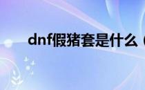 dnf假猪套是什么（假猪套是干嘛的）