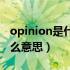 opinion是什么意思英语翻译（opinion是什么意思）