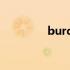 burden中文翻译 burden