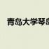 青岛大学琴岛学院官网 青岛大学琴岛学院