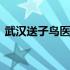 武汉送子鸟医院收费贵不贵 武汉送子鸟医院