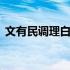 文有民调理白发是真的吗 文有民黑发是真的