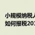 小规模纳税人如何报税2019年 小规模纳税人如何报税2019