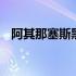 阿其那塞斯黑是指谁 阿其那赛斯黑啥意思