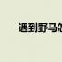 遇到野马怎么办 野马鲁为什么进不去