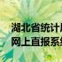 湖北省统计局网上直报怎样填 湖北省统计局网上直报系统