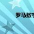 罗马数字2000 罗马数字2怎么写