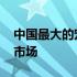 中国最大的宠物用品批发市场 宠物用品批发市场