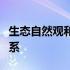 生态自然观和生态文明建设之间有什么样的关系