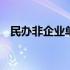 民办非企业单位属于什么类型 民办非企业