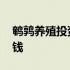 鹌鹑养殖投资回报率最高 鹌鹑养殖投资多少钱