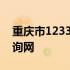 重庆市12333社保查询网 重庆12333社保查询网