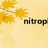 nitroplus还做gal吗 nitroplus