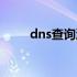 dns查询流量什么意思（dns查询）