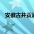 安徽古井贡酒价格表 安徽古井贡酒价格表