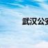 武汉公安网最新事件 武汉公安网