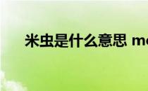 米虫是什么意思 mc是什么意思的缩写