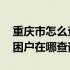 重庆市怎么查询建卡贫困户信息 重庆建卡贫困户在哪查询