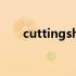 cuttingshapes歌词 cuttingshapes