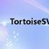 TortoiseSVN解决冲突（tortoisesvn）