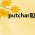 putchar和getchar怎么用（putchar）