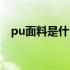 pu面料是什么材质（pu面料是什么意思）