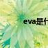 eva是什么材料 EVA是什么材料