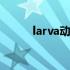 larva动画片中的角色 larva动画