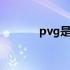 pvg是哪国的 pvg是哪个机场