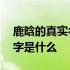 鹿晗的真实名字是不是刘壮实 鹿晗的真实名字是什么