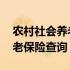 农村社会养老保险手机上怎么交 农村社会养老保险查询