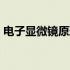 电子显微镜原理3d动漫演示 电子显微镜原理