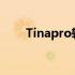 Tinapro软件如何换为中文 tinapro