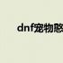 dnf宠物憨憨牛怎么样 dnf宠物憨憨牛