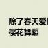 除了春天爱情和樱花百度云 除了春天爱情和樱花舞蹈