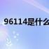 96114是什么电话号码 114是什么电话号码