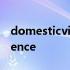 domesticviolence什么意思 domesticviolence