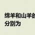 绵羊和山羊的区别之一为两者染色体数目不同分别为