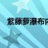 紫藤萝瀑布内容概括 紫藤萝瀑布内容概括