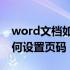 word文档如何设置页码的字体 word文档如何设置页码