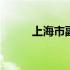 上海市副市长现任 上海市副市长