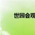 世园会观后感100字 世园会观后感