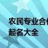 农民专业合作社起什么名好 农民专业合作社起名大全