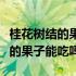 桂花树结的果子能吃吗吃了怎么办（桂花树结的果子能吃吗）