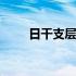 日干支层次上等最好的 日干支层次