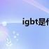 igbt是什么概念 igbt是什么意思