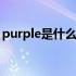 purple是什么颜色怎么读 purple是什么颜色