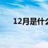 12月是什么星座查询 12月是什么星座