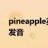 pineapple英语发音是什么 pineapple英语发音