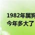 1982年属狗的人今年运势 1982年属狗的人今年多大了